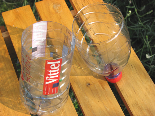 Decoupe bouteille pour bouture à l’etouffée