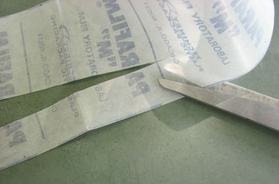 découpe d’une bandelette de parafilm