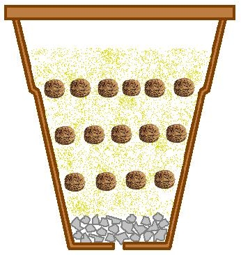 stratification