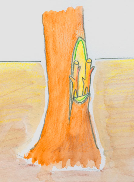 Le surgreffage de la vigne