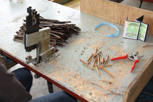 poste de greffage de vigne sur table