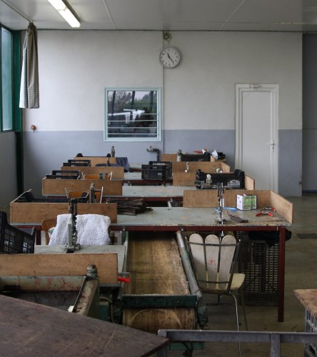 La salle de greffage
