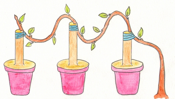 multiples greffes par approche en incrustation