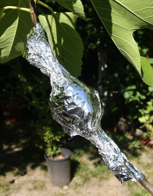 papillote aluminium